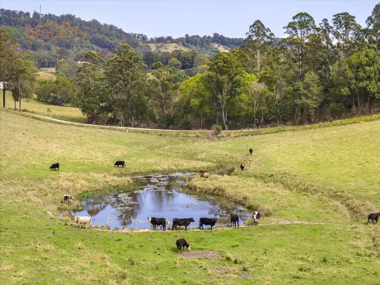 Fourth view of Homely land listing, Lot12, 938 Wilson  Road, Congarinni North NSW 2447