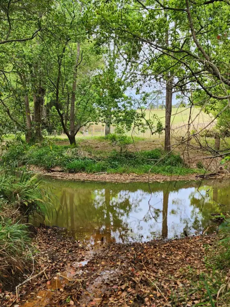 Fourth view of Homely land listing, 10C Joey Place, Congarinni NSW 2447