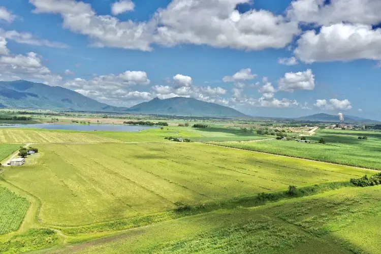 Second view of Homely rural property listing, 297 Shirbourne Road, Giru QLD 4809