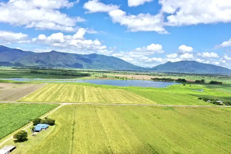 Third view of Homely rural property listing, 297 Shirbourne Road, Giru QLD 4809