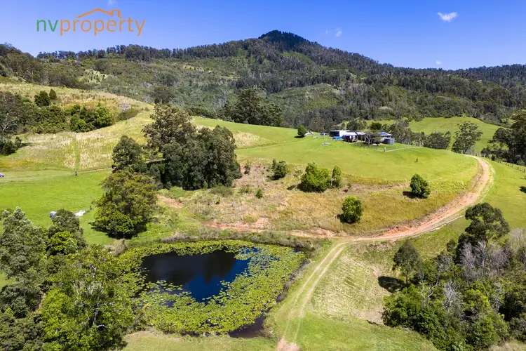 Sixth view of Homely rural property listing, 99 Whip Mountain Road, Yarranbella NSW 2447