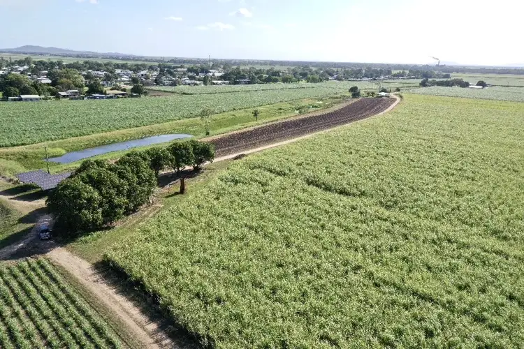 Third view of Homely rural property listing, 20 Colevale Road, Brandon QLD 4808