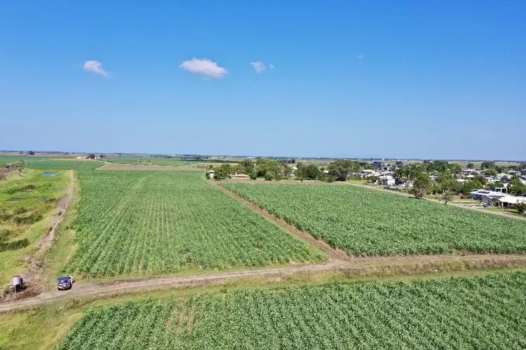 Fifth view of Homely rural property listing, 20 Colevale Road, Brandon QLD 4808