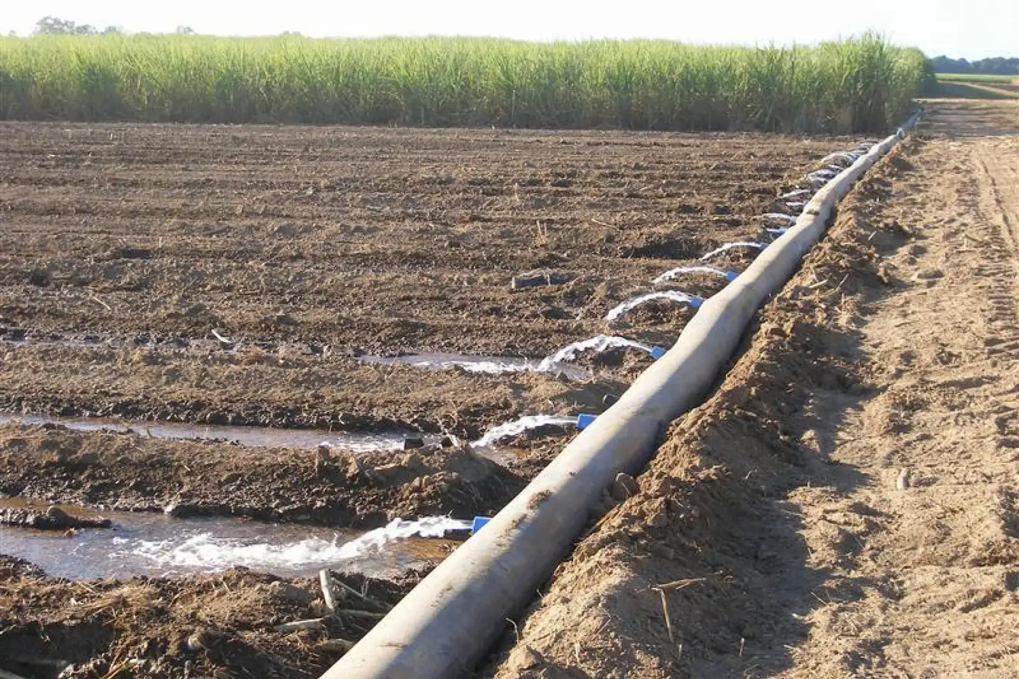 Main view of Homely rural property listing, 176 Upper Haughton Road, Horseshoe Lagoon QLD 4809