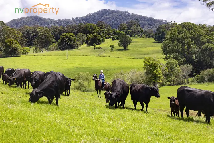 Main view of Homely rural property listing, Lot 1, 103 Soldier Settlers Road, Newee Creek NSW 2447