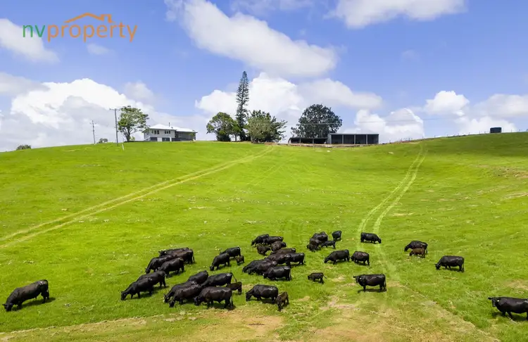 Third view of Homely rural property listing, Lot 1, 103 Soldier Settlers Road, Newee Creek NSW 2447
