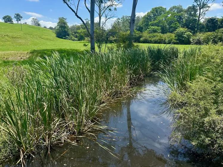 Sixth view of Homely rural property listing, Lot 1, 103 Soldier Settlers Road, Newee Creek NSW 2447
