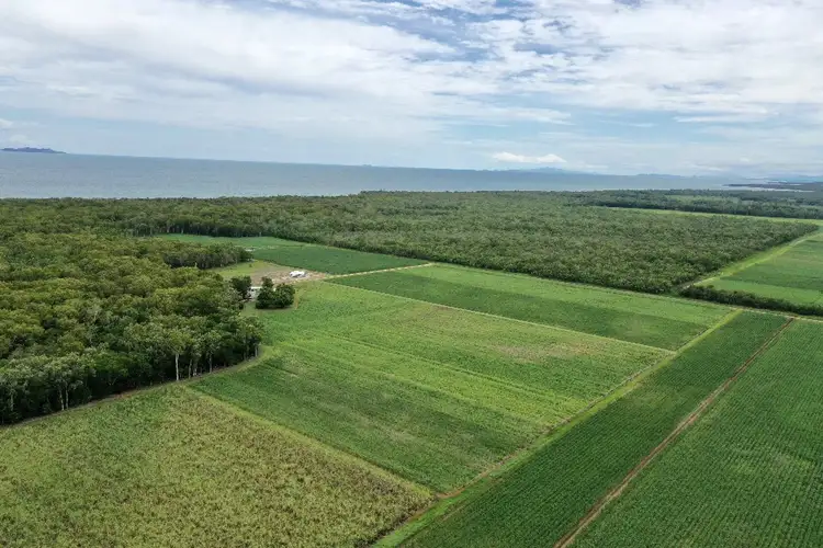 Main view of Homely rural property listing, 349 Amos Road, Coolbie QLD 4850