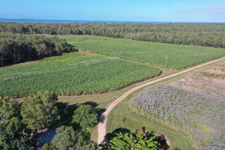 Sixth view of Homely rural property listing, 349 Amos Road, Coolbie QLD 4850
