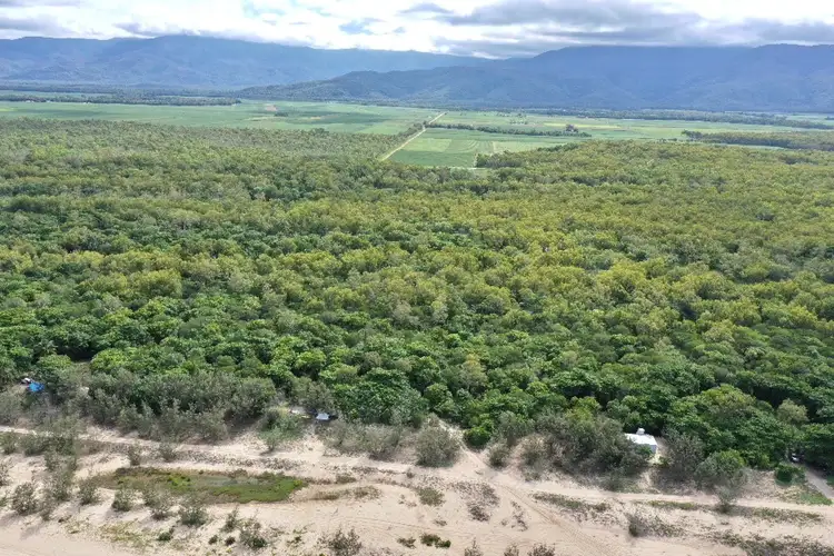 Seventh view of Homely rural property listing, 349 Amos Road, Coolbie QLD 4850