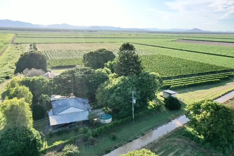 Third view of Homely rural property listing, 5806 Ayr Dalbeg Road, Millaroo QLD 4807