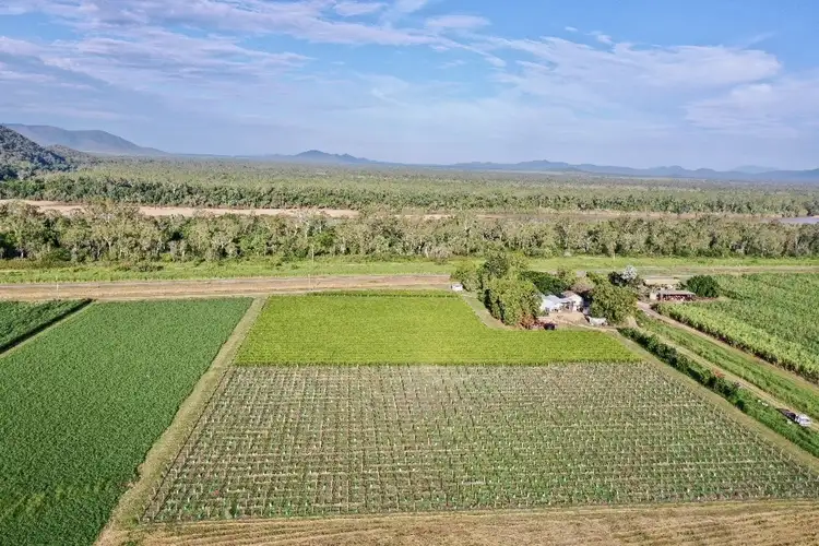 Fourth view of Homely rural property listing, 5806 Ayr Dalbeg Road, Millaroo QLD 4807