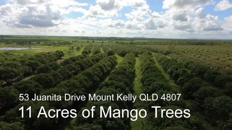 Main view of Homely rural property listing, 53 Juanita Drive, Mount Kelly QLD 4807
