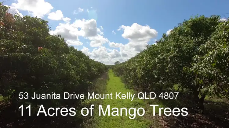 Second view of Homely rural property listing, 53 Juanita Drive, Mount Kelly QLD 4807