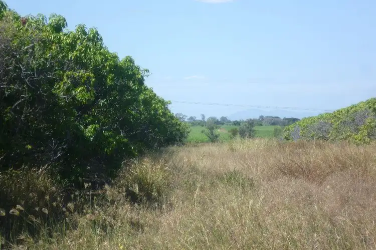 Third view of Homely rural property listing, 53 Juanita Drive, Mount Kelly QLD 4807