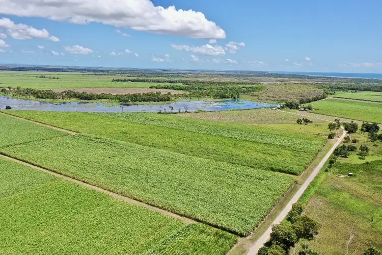 Main view of Homely rural property listing, 403 Peggy Bog Road, Airdmillan QLD 4807