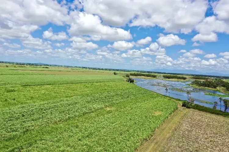 Second view of Homely rural property listing, 403 Peggy Bog Road, Airdmillan QLD 4807