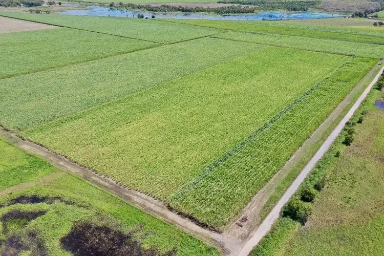 Fifth view of Homely rural property listing, 403 Peggy Bog Road, Airdmillan QLD 4807