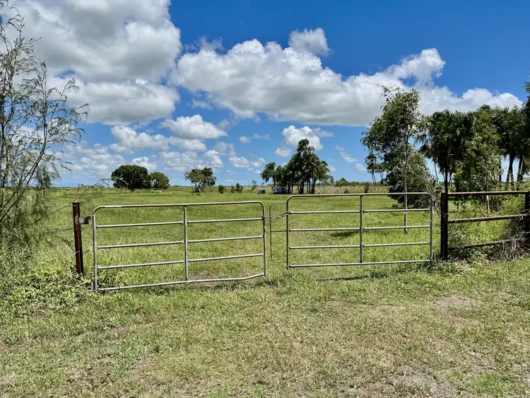 Seventh view of Homely rural property listing, 403 Peggy Bog Road, Airdmillan QLD 4807