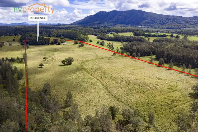 Third view of Homely rural property listing, 76 Maple Road, Yarrahapinni NSW 2441
