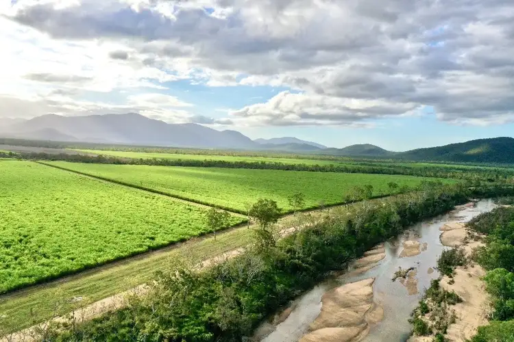 Main view of Homely rural property listing, Lot 94 Coach Road, Majors Creek QLD 4816