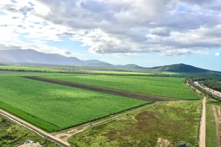 Third view of Homely rural property listing, Lot 94 Coach Road, Majors Creek QLD 4816