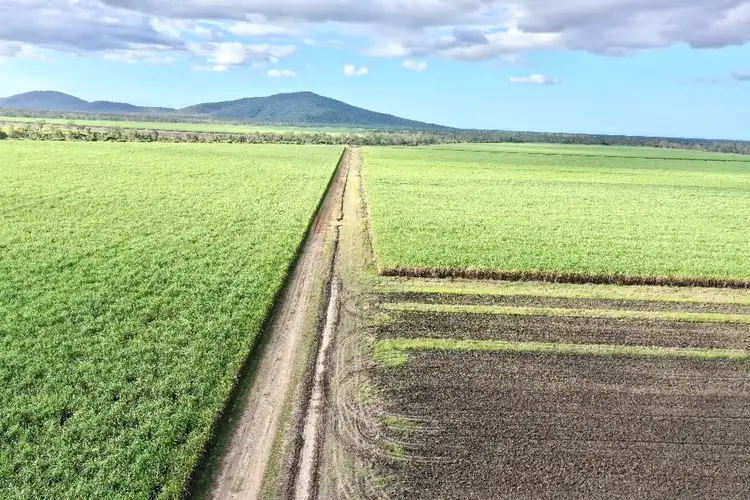 Fourth view of Homely rural property listing, Lot 94 Coach Road, Majors Creek QLD 4816