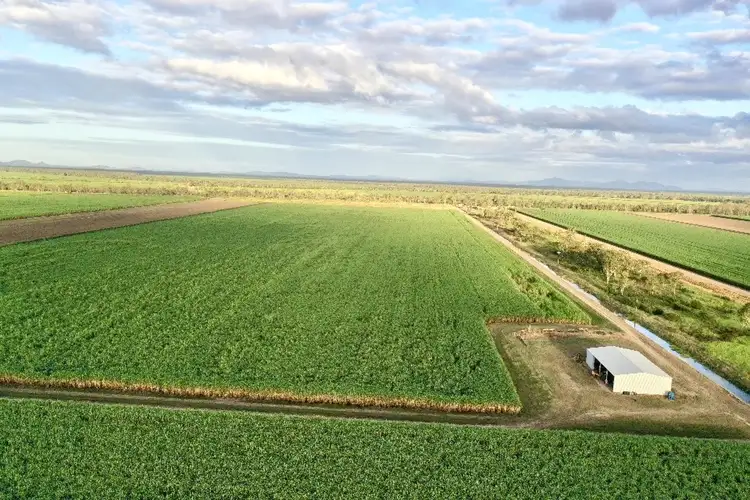 Fifth view of Homely rural property listing, Lot 94 Coach Road, Majors Creek QLD 4816