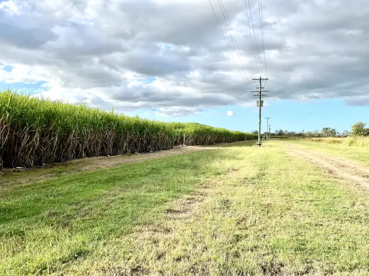 Seventh view of Homely rural property listing, Lot 94 Coach Road, Majors Creek QLD 4816
