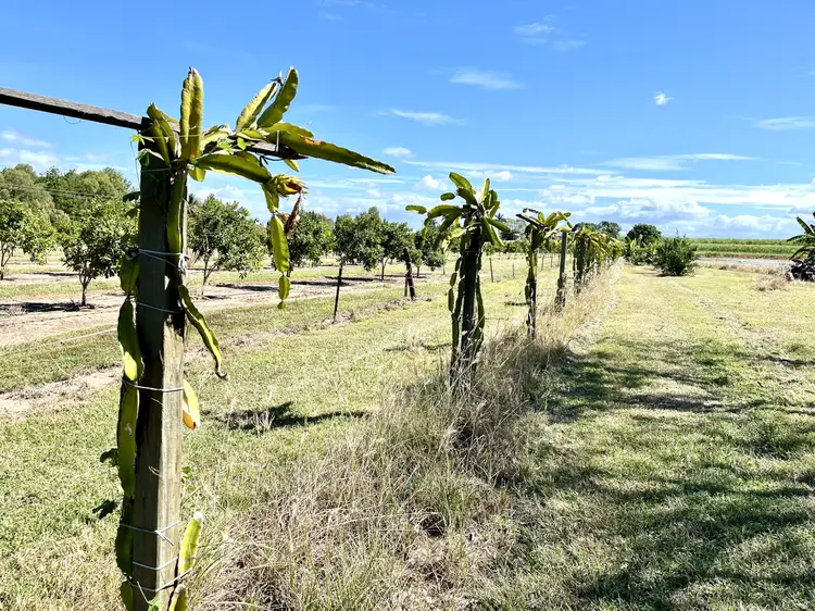 Seventh view of Homely land listing, 11 Lisa Drive, Ayr QLD 4807