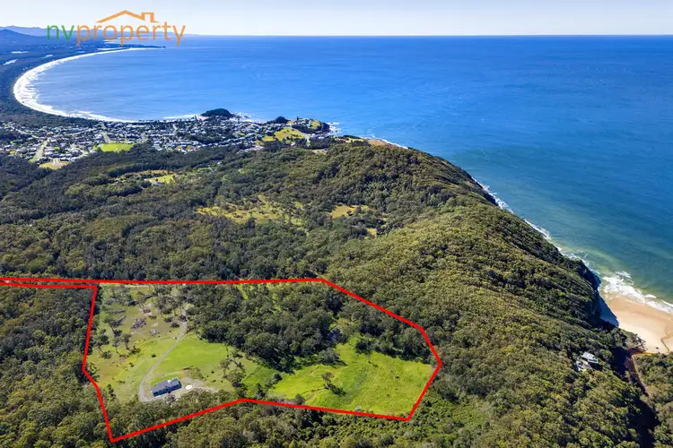 Main view of Homely rural property listing, 1008 Scotts Head Road, Way Way NSW 2447