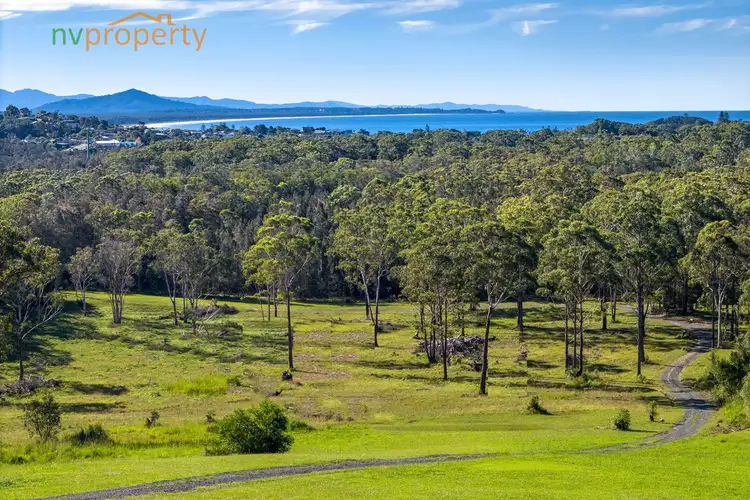 Second view of Homely rural property listing, 1008 Scotts Head Road, Way Way NSW 2447