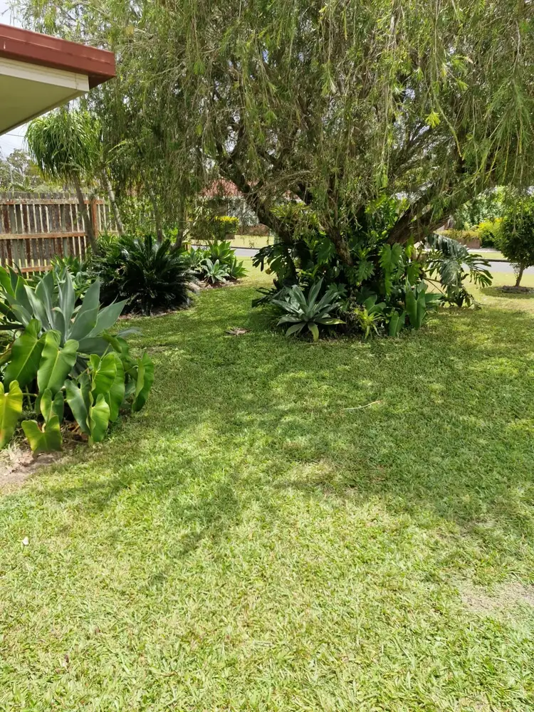 Second view of Homely house listing, 3 Bluegum Court, Maryborough QLD 4650