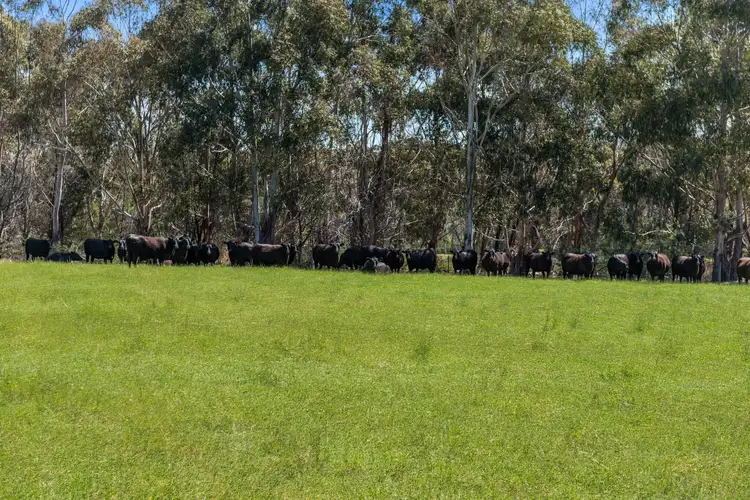 Third view of Homely rural property listing, Lot 12 Jeffreys Lane, Broadford VIC 3658