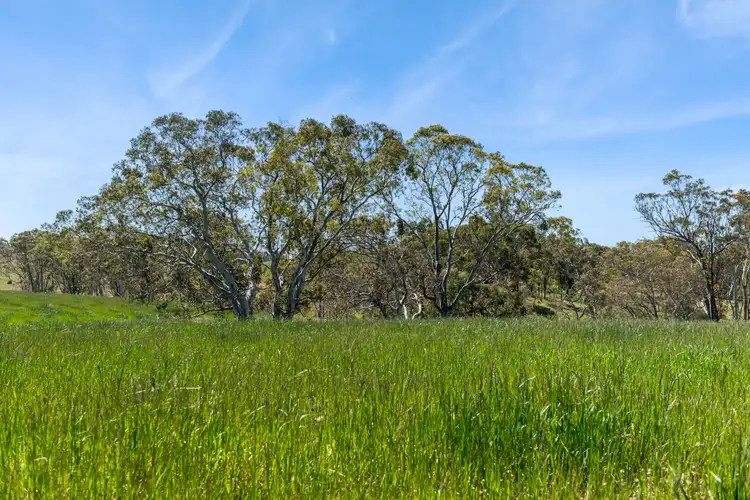 Fifth view of Homely rural property listing, Lot 12 Jeffreys Lane, Broadford VIC 3658