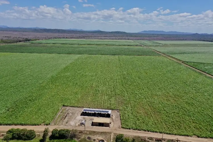 Second view of Homely rural property listing, 218 Oats Road, Fredericksfield QLD 4806