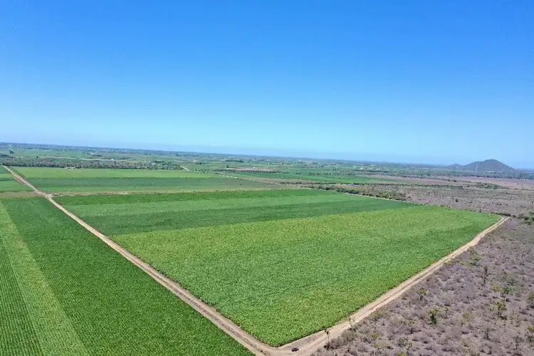 Fourth view of Homely rural property listing, 218 Oats Road, Fredericksfield QLD 4806