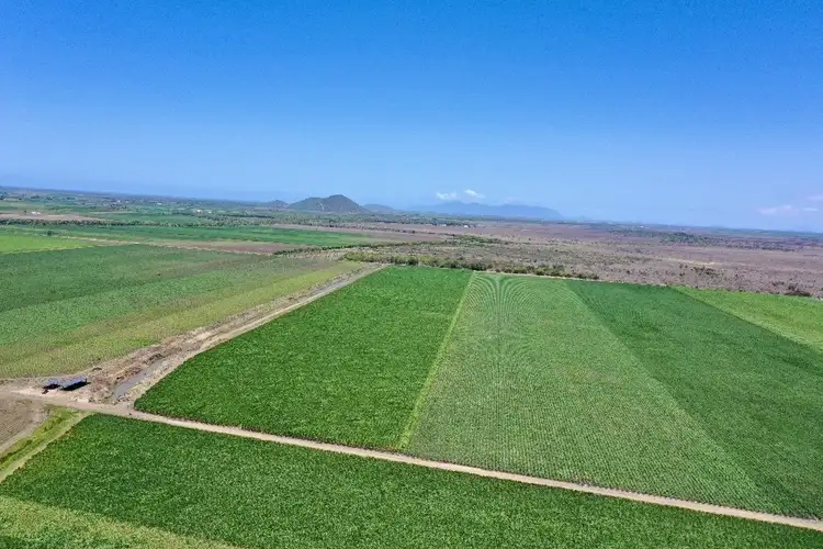 Fifth view of Homely rural property listing, 218 Oats Road, Fredericksfield QLD 4806