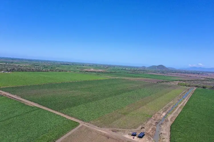 Sixth view of Homely rural property listing, 218 Oats Road, Fredericksfield QLD 4806