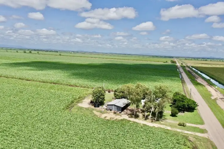 Seventh view of Homely rural property listing, 407 Brown  Road, Mona Park QLD 4807