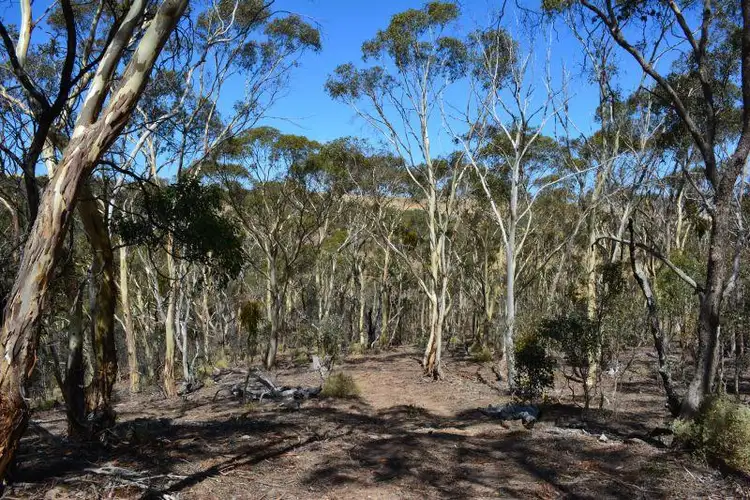 Third view of Homely land listing, 94 Seereys Track, Bacchus Marsh VIC 3340