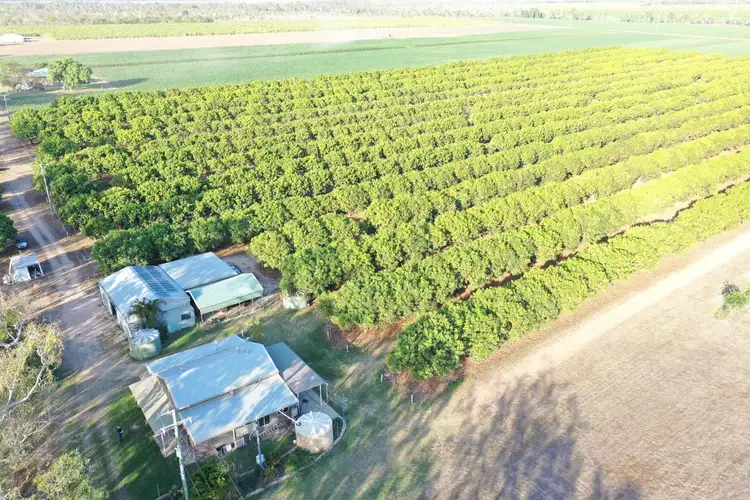 Main view of Homely rural property listing, 2560 Kirknie  Road, Kirknie QLD 4806