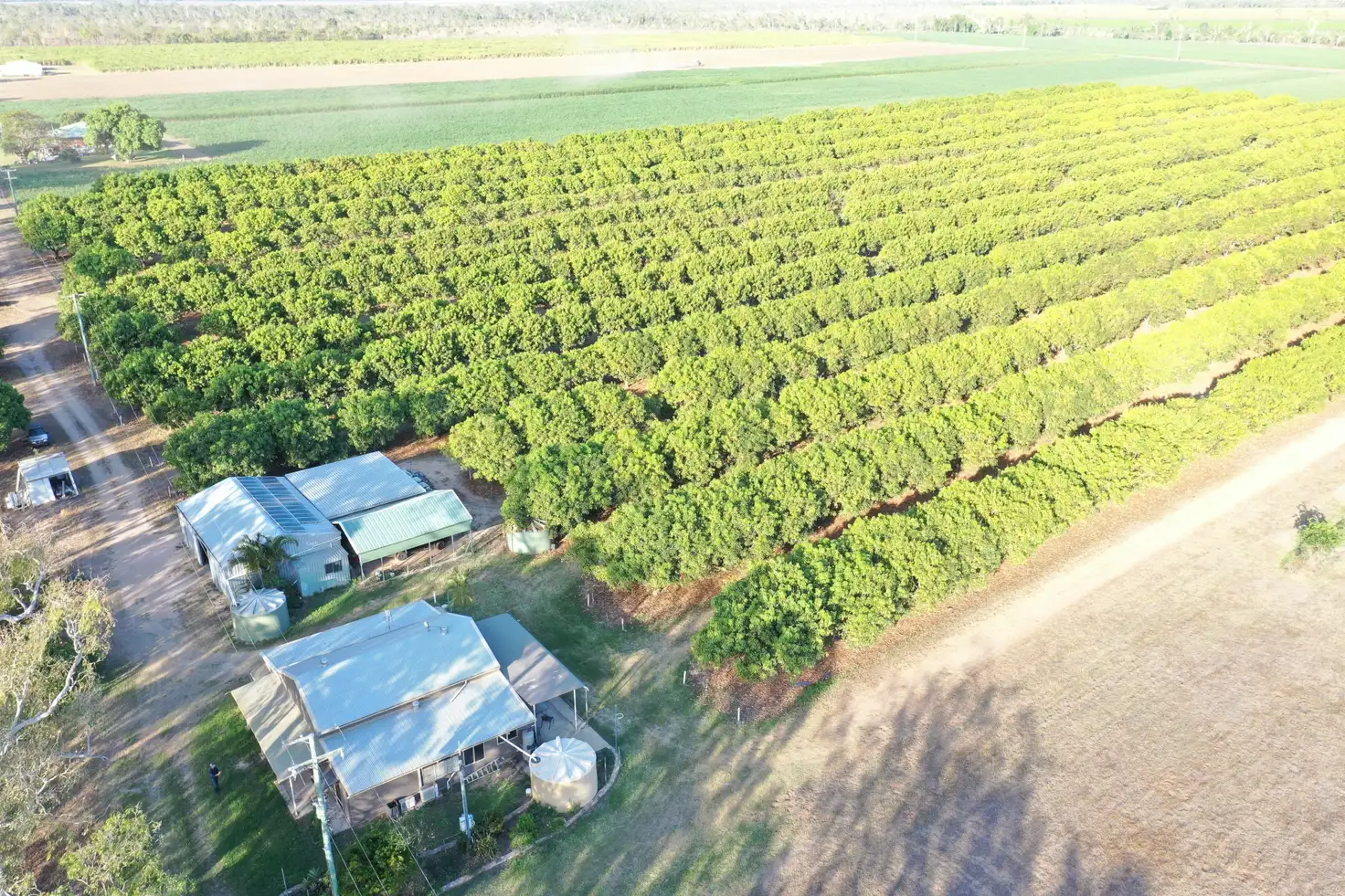 Main view of Homely rural property listing, 2560 Kirknie  Road, Kirknie QLD 4806