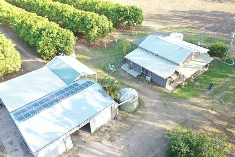 Second view of Homely rural property listing, 2560 Kirknie  Road, Kirknie QLD 4806