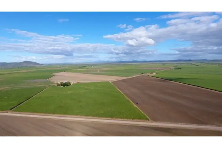 Main view of Homely rural property listing, 182 Homestead Road, Fredericksfield QLD 4806