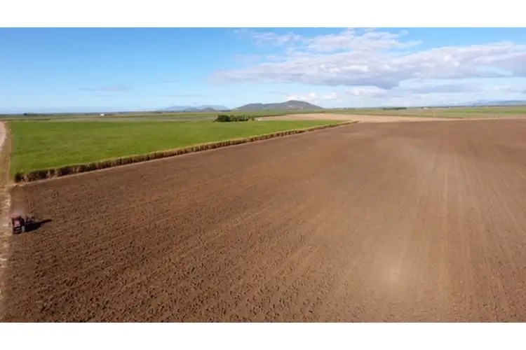 Third view of Homely rural property listing, 182 Homestead Road, Fredericksfield QLD 4806