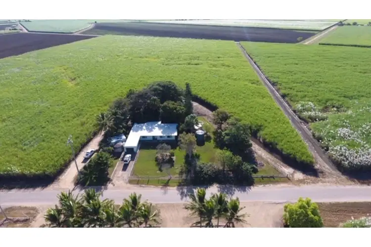 Seventh view of Homely rural property listing, 182 Homestead Road, Fredericksfield QLD 4806