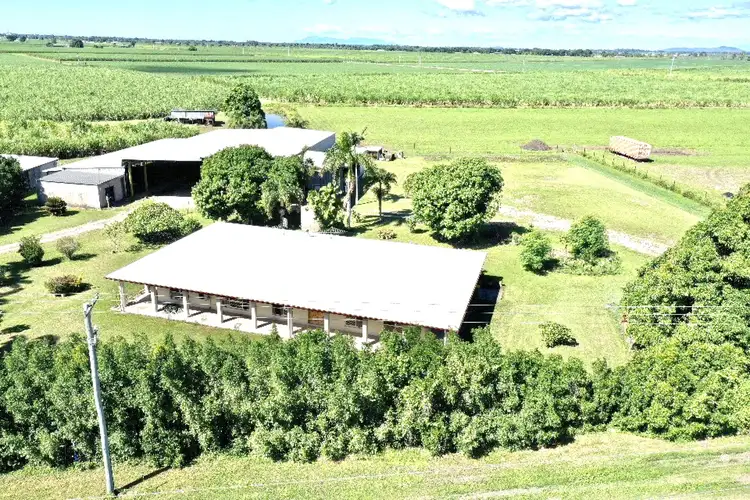 Second view of Homely house listing, 261 Sexton Highway, Brandon QLD 4808