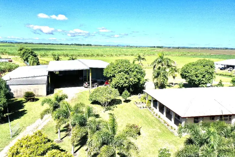 Third view of Homely house listing, 261 Sexton Highway, Brandon QLD 4808
