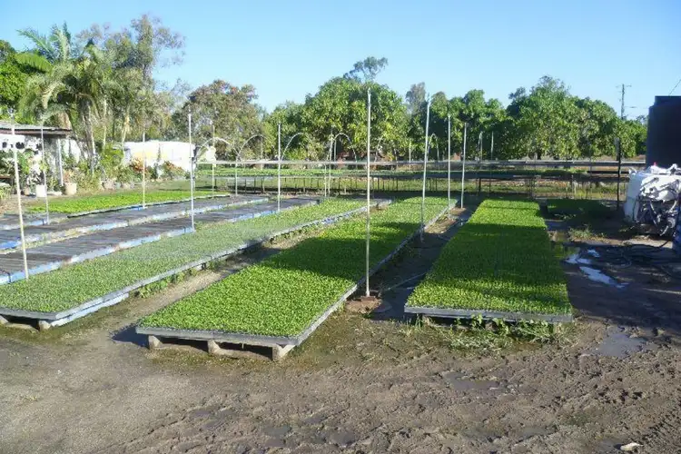 Second view of Homely rural property listing, 305 Lands Road, Gumlu QLD 4805